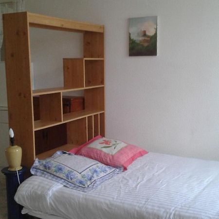 Le Sultan Du Theron 3Em Etage Apartment Le Puy-en-Velay Екстериор снимка